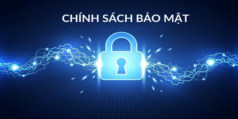 Hỗ trợ liên hệ, phản hồi và chăm sóc người dùng
